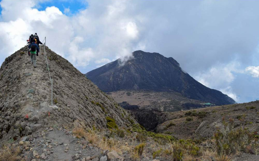 capture-20250317-121323