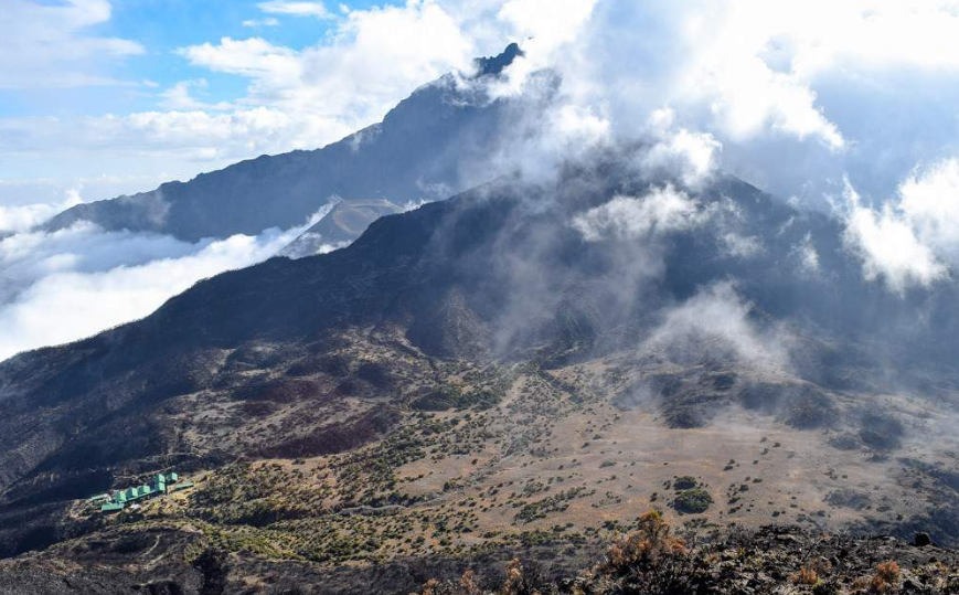 capture-20250317-121428