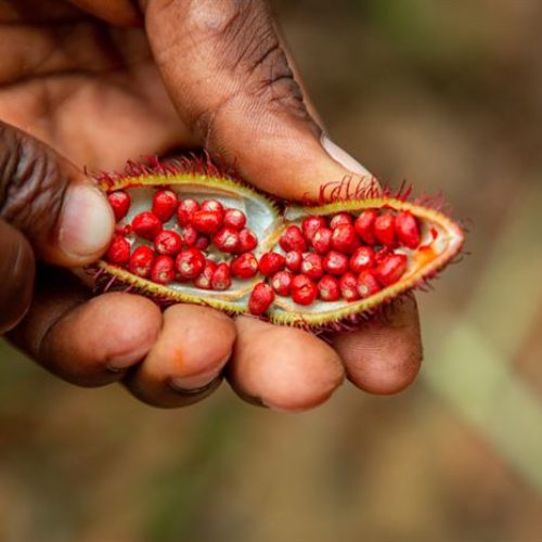 Mass Image Compressor Compressed this image. https://sourceforge.net/projects/icompress/ with Quality:80